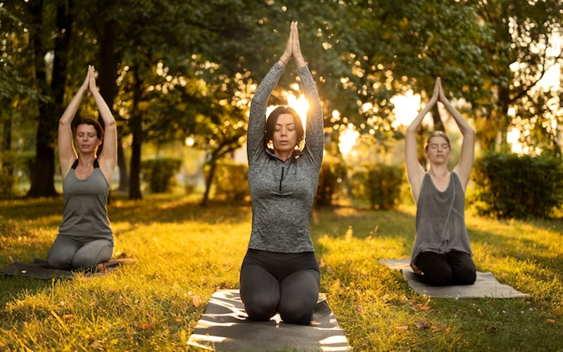O que encontrar em uma aula de Yoga - Seu Blog de Yoga, Meditação, Conheça  mais sobre os benefícios da prática de Yoga e Meditação
